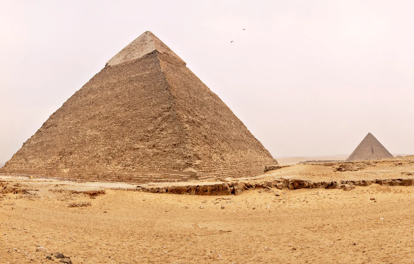 Photo wallpaper sand, the sky, birds, desert, Egypt, pyramid
