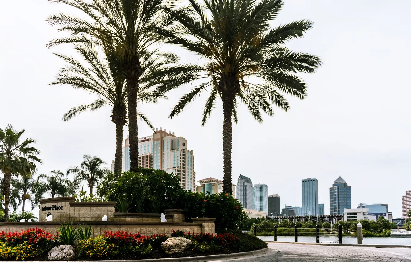Photo wallpaper the city, palm trees, blue, building, skyscrapers, FL, USA, USA