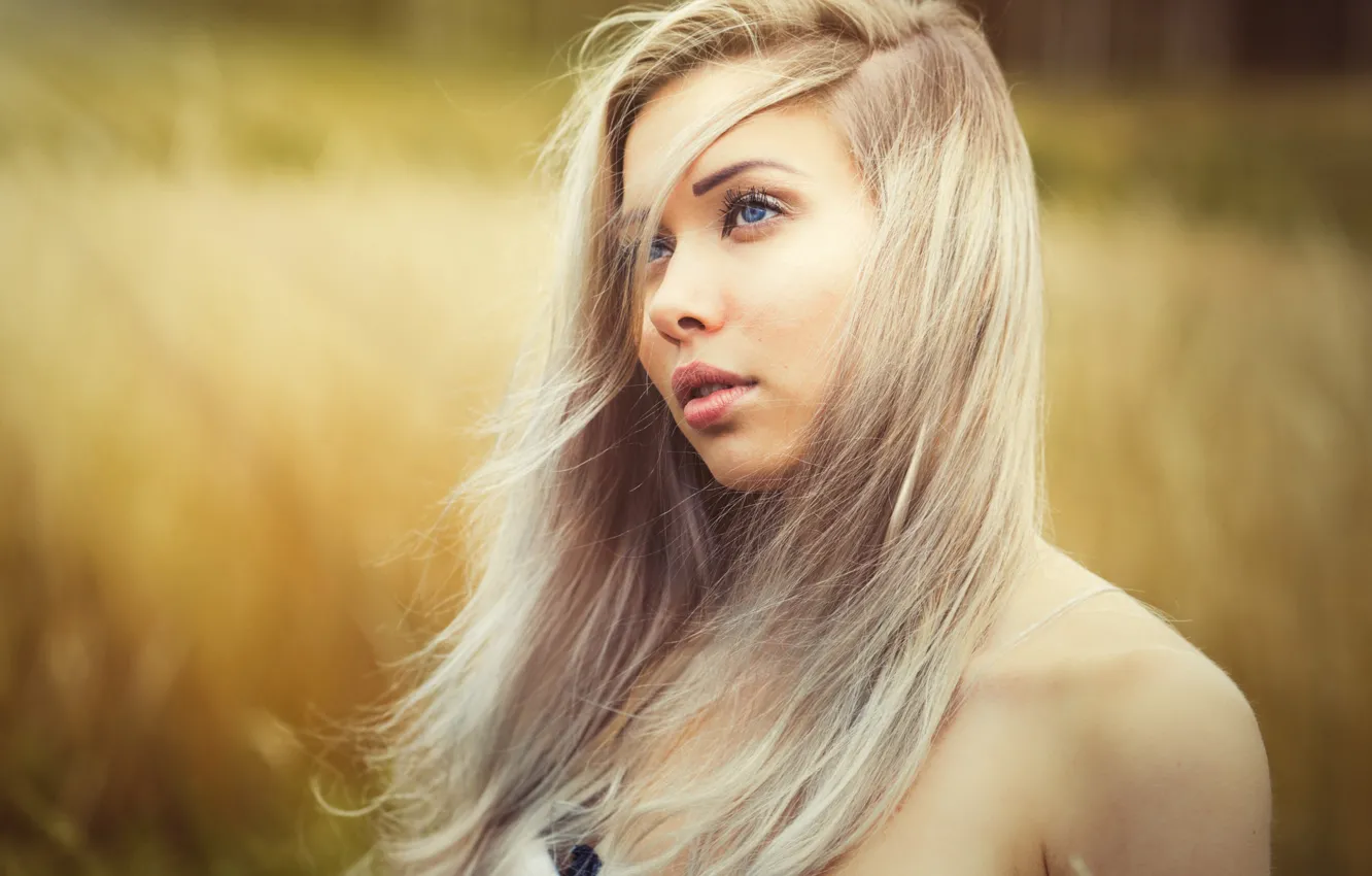 Photo wallpaper field, grass, the sun, background, portrait, makeup, hairstyle, blonde