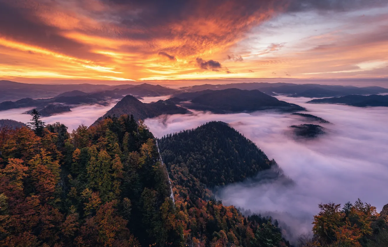 Photo wallpaper autumn, forest, the sky, clouds, light, trees, sunset, mountains