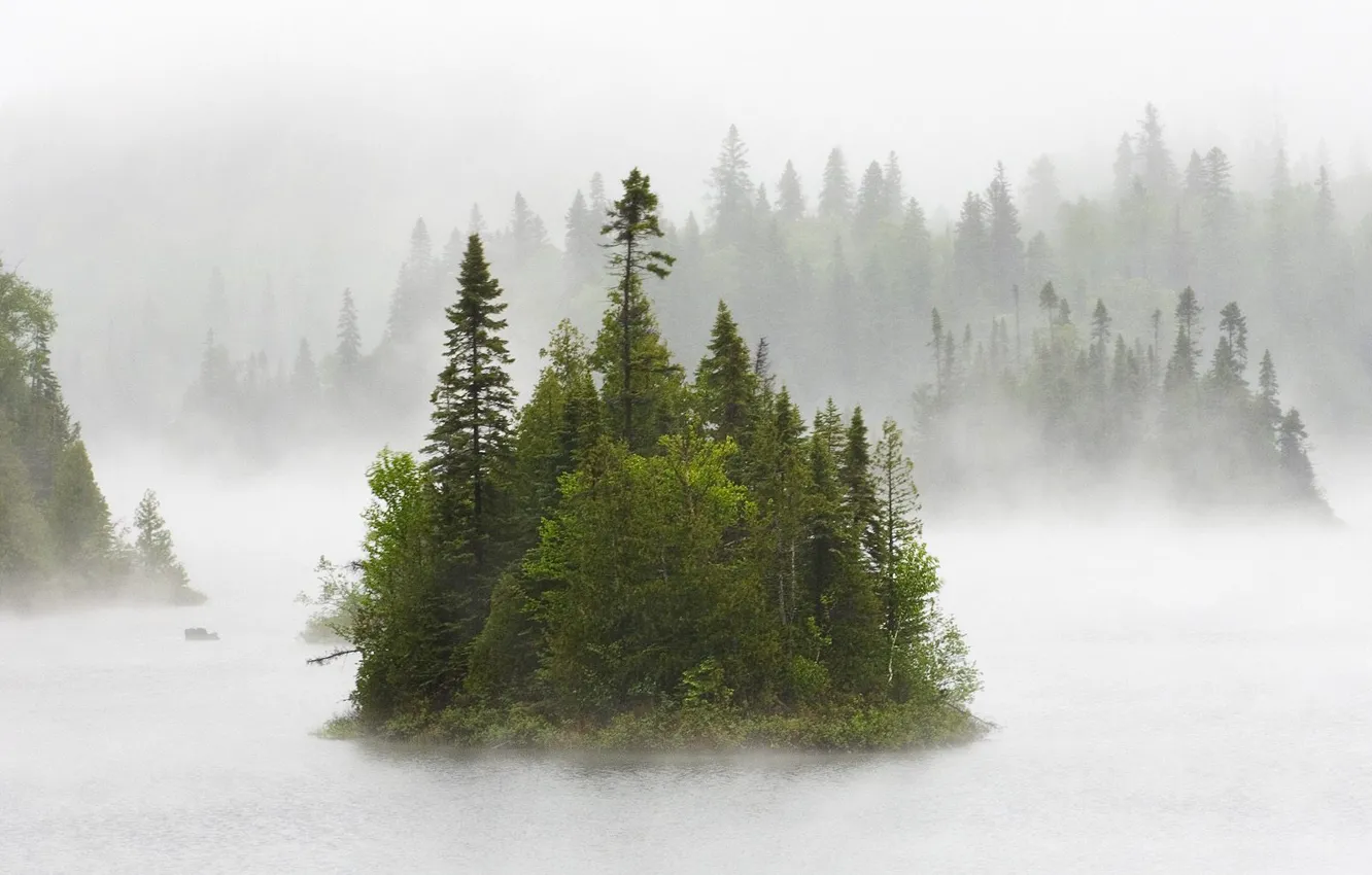 Photo wallpaper forest, fog, island, morning
