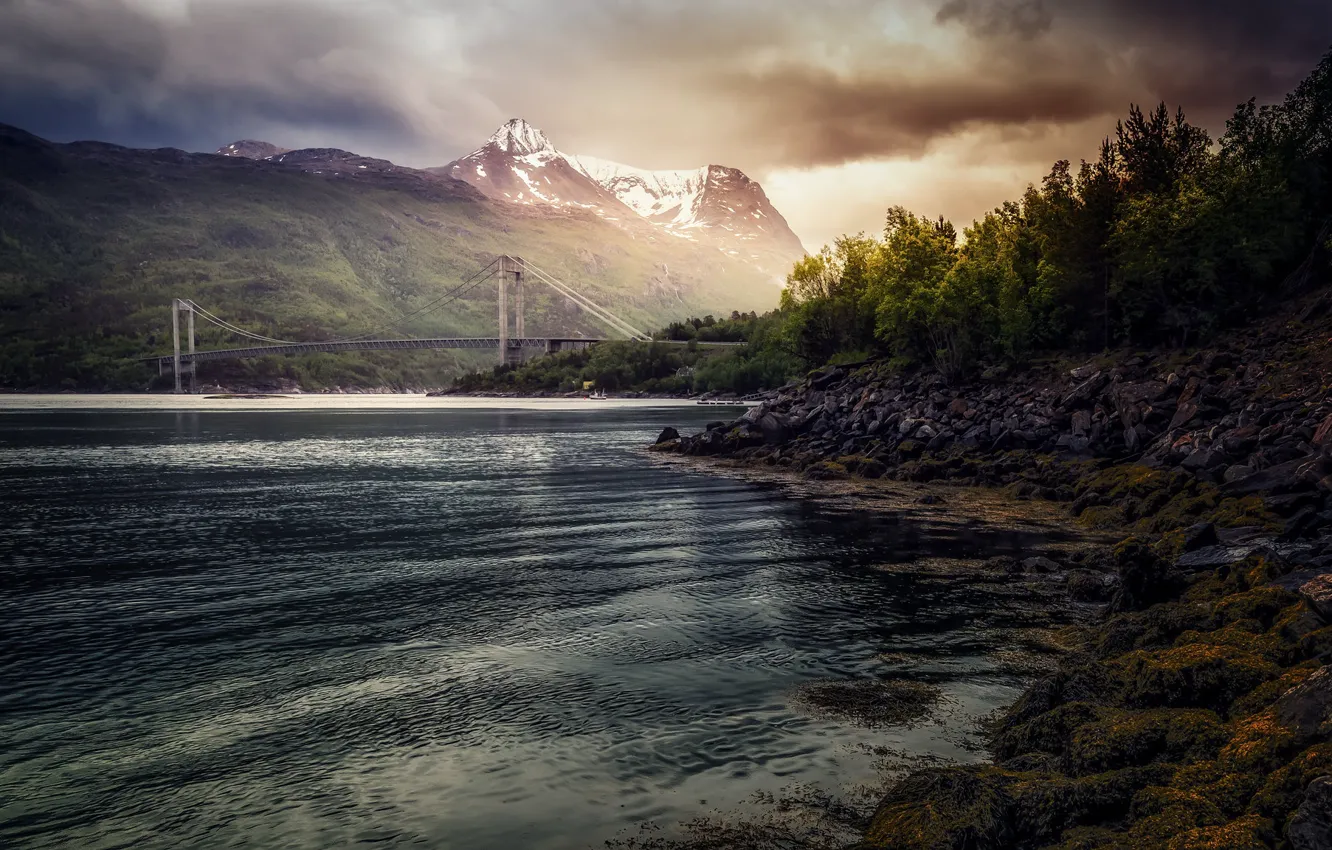 Photo wallpaper bridge, nature, the evening
