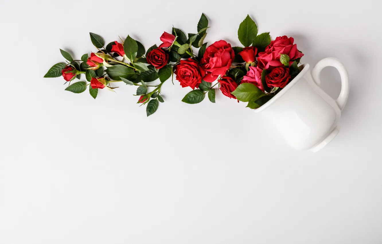 Photo wallpaper red, background, roses, bouquet, Cup, buds