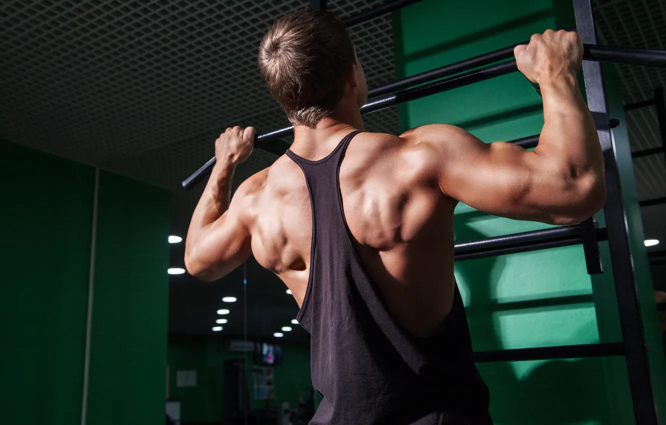 Photo wallpaper back, Muscle, muscle, back, the horizontal bar, workout, gym, gym