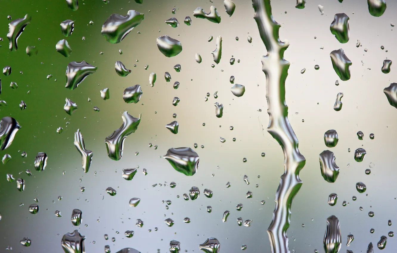 Photo wallpaper glass, drops, rain