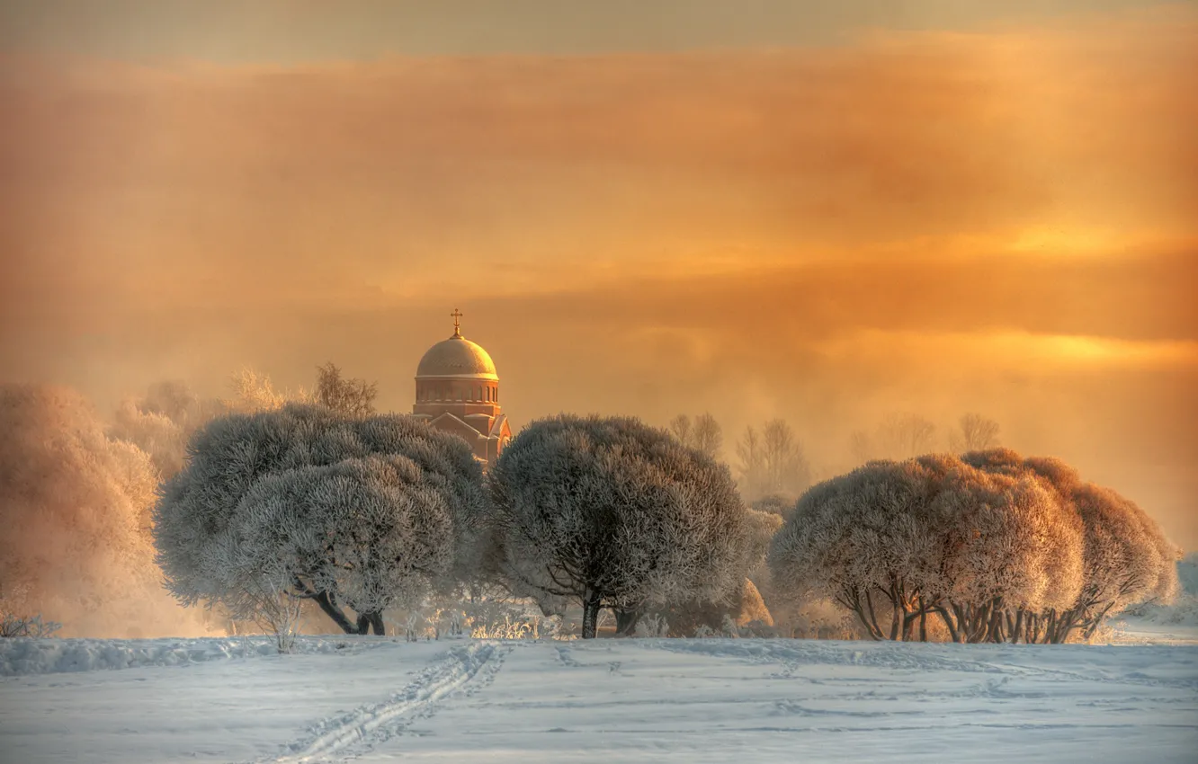 Photo wallpaper trees, winter, dome, church