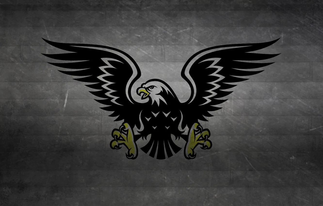Photo wallpaper strip, the dark background, bird, black and white, wings, predator, claws, hawk