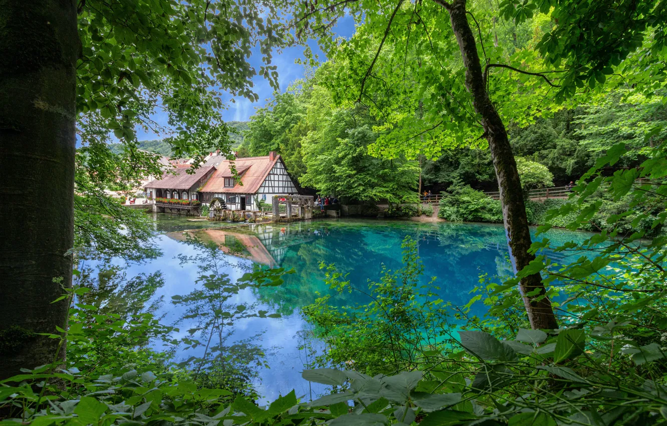 Photo wallpaper trees, lake, house, Germany, Germany, Blaubeuren, Blaubeuren, Blue pot
