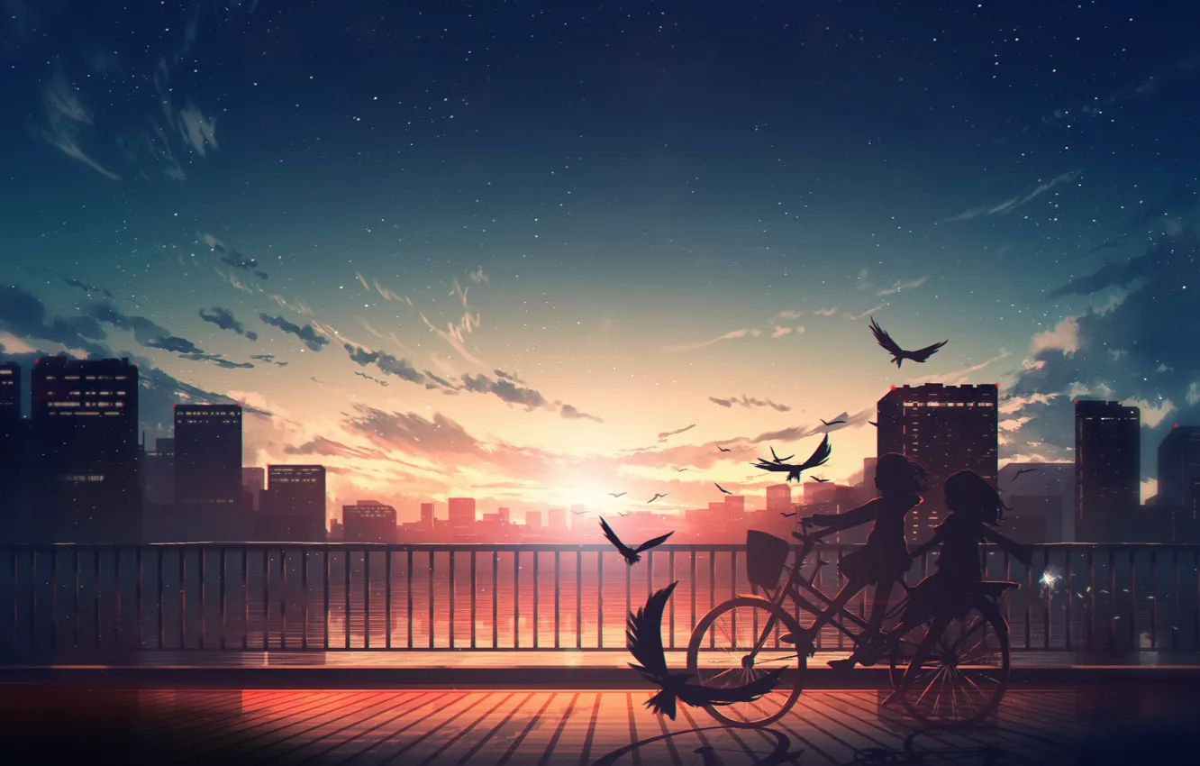 Photo wallpaper water, sunset, birds, bike, the city, girls