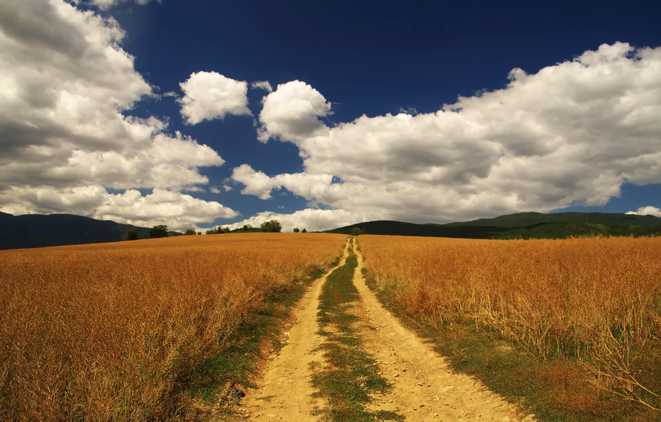 Photo wallpaper road, field, the sky, grass, clouds, blue, hills, dal