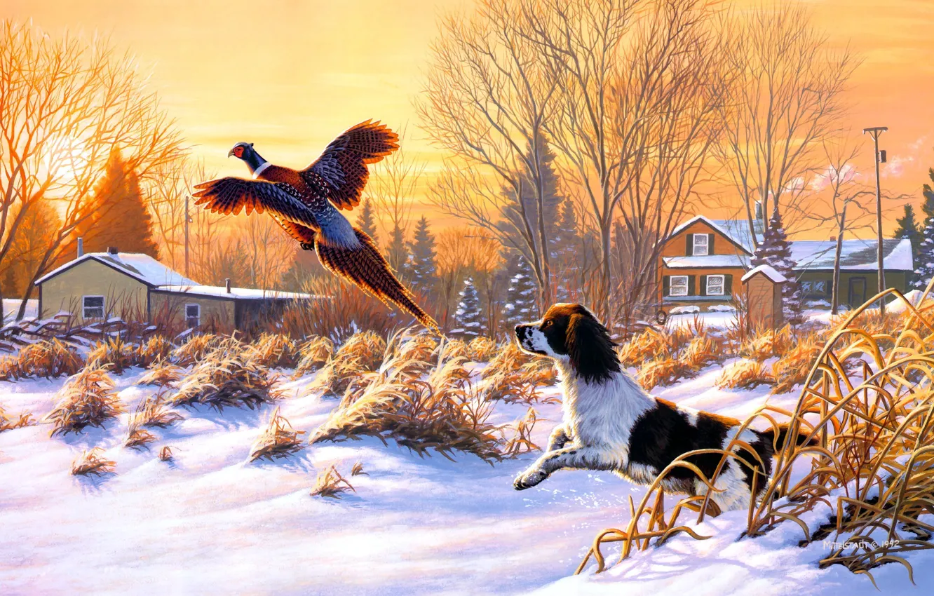 Photo wallpaper winter, snow, nature, sunrise, bird, dog, painting, art