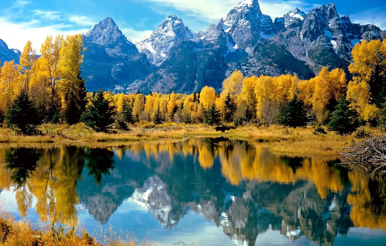 Photo wallpaper autumn, forest, water, trees, mountains, lake, reflection, yellow