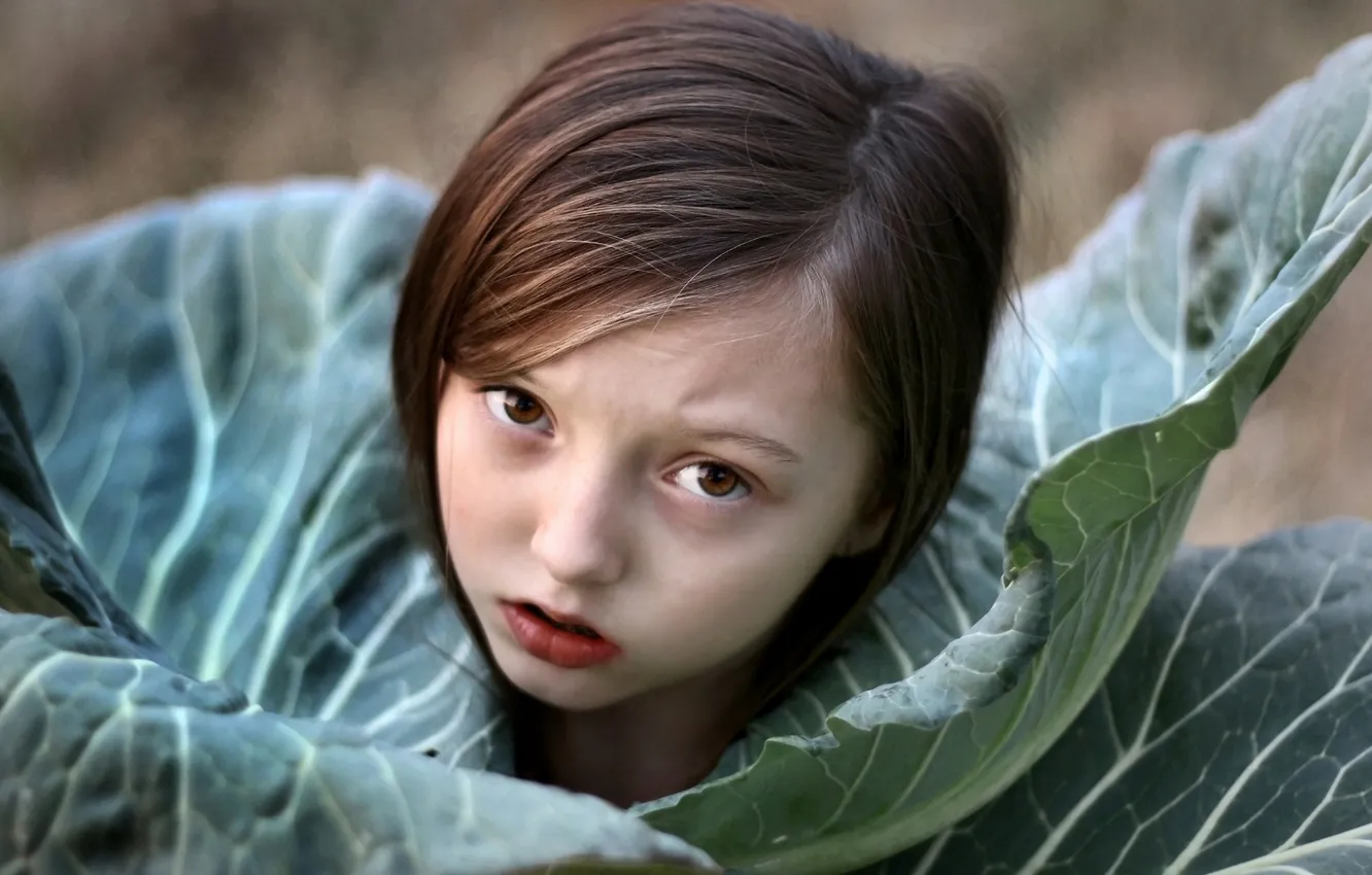 Photo wallpaper background, girl, cabbage
