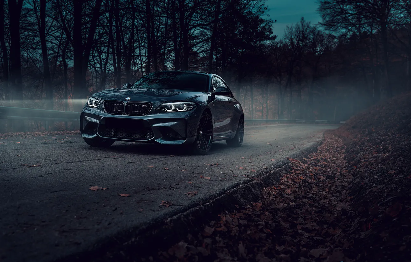 Photo wallpaper road, forest, BMW, car