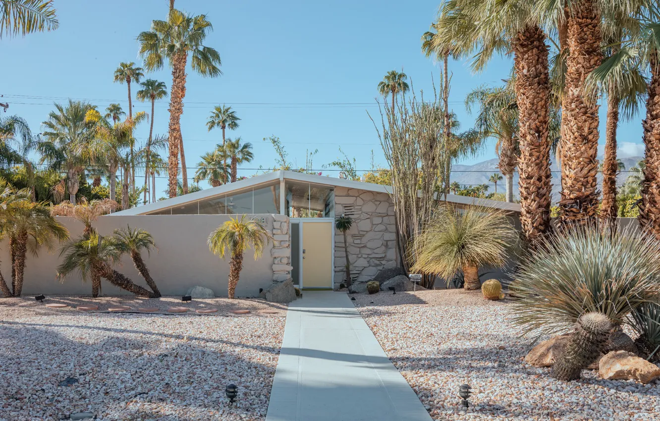 Photo wallpaper palm trees, the door, track, structure, PALM SPRINGS DESERT HOUSES