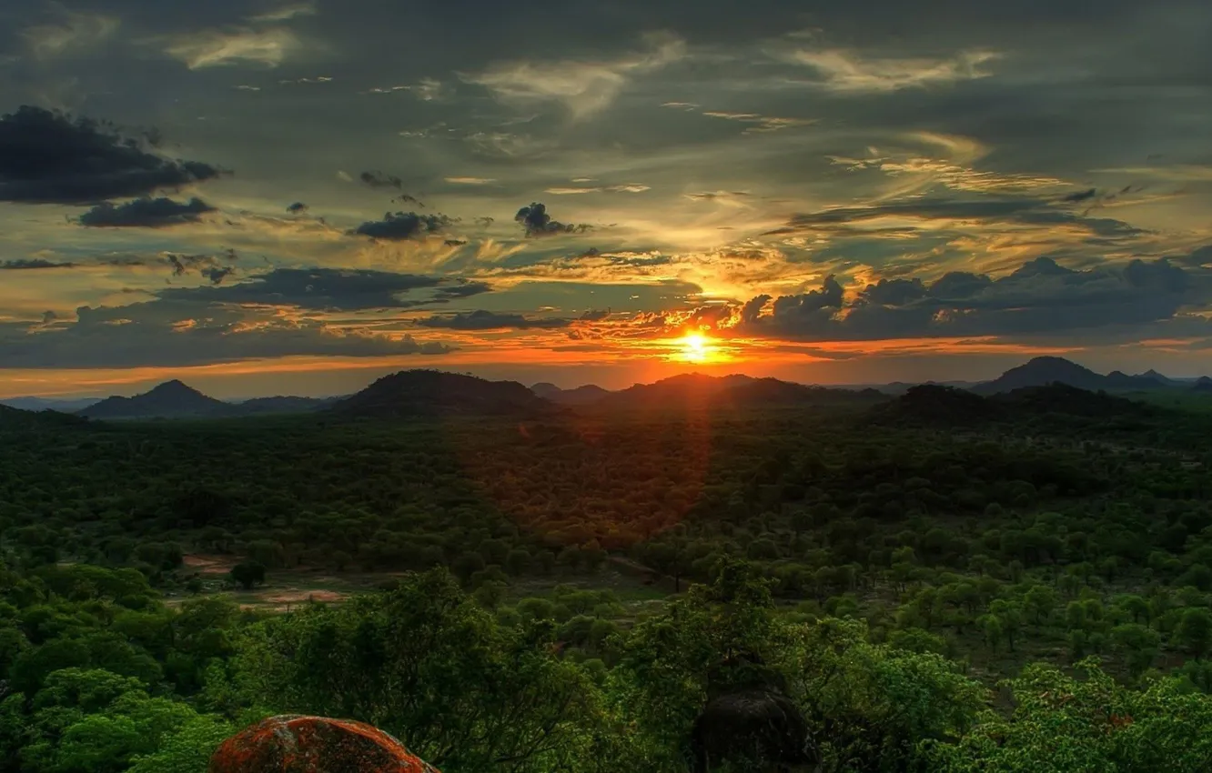 Photo wallpaper forest, the sky, the sun, clouds, trees, landscape, sunset, mountains