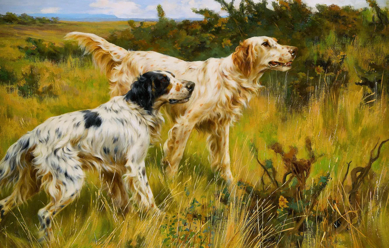Photo wallpaper grass, dog, picture, two, setter, Thomas Blinks, Setters, Thomas Blinks