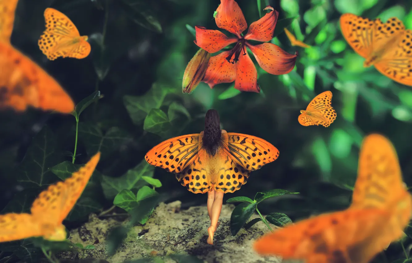Photo wallpaper girl, butterfly, Lily, wings, Wonderland journey, Maria Mazuch