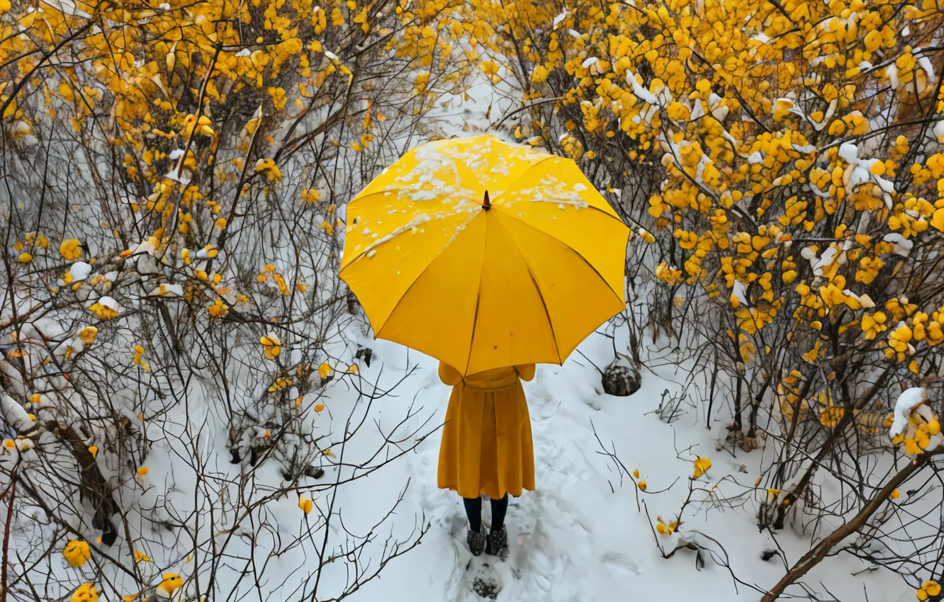 Photo wallpaper winter, autumn, girl, snow, umbrella, umbrella, art, Yellow umbrella