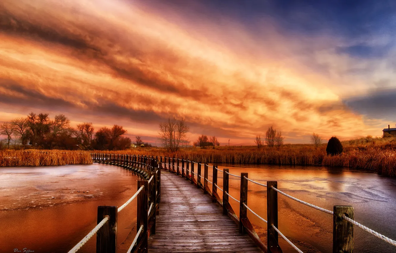 Photo wallpaper autumn, the sky, grass, bridge, river, the reeds, glow