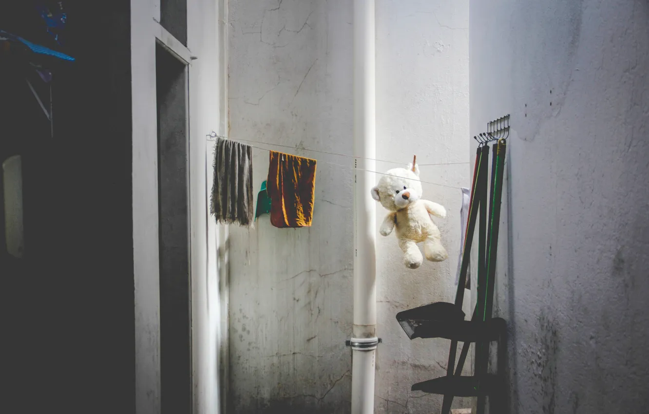 Photo wallpaper white, wall, toy, rope, bear, bear, Teddy, the room