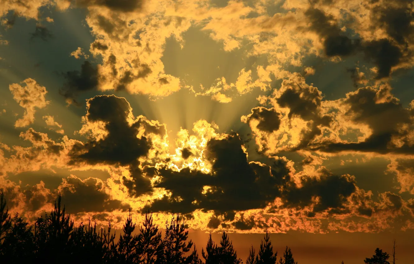 Photo wallpaper the sky, landscape, nature