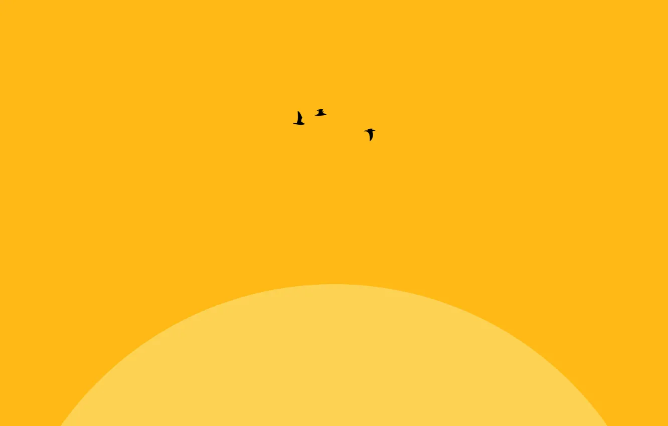 Photo wallpaper the sun, flight, bird