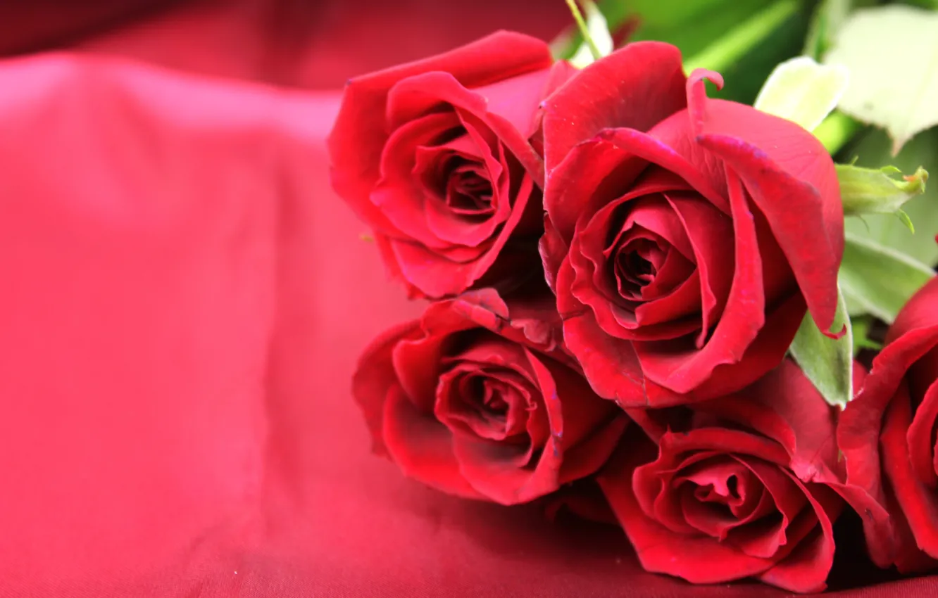 Photo wallpaper flowers, roses, bouquet, fabric, Atlas