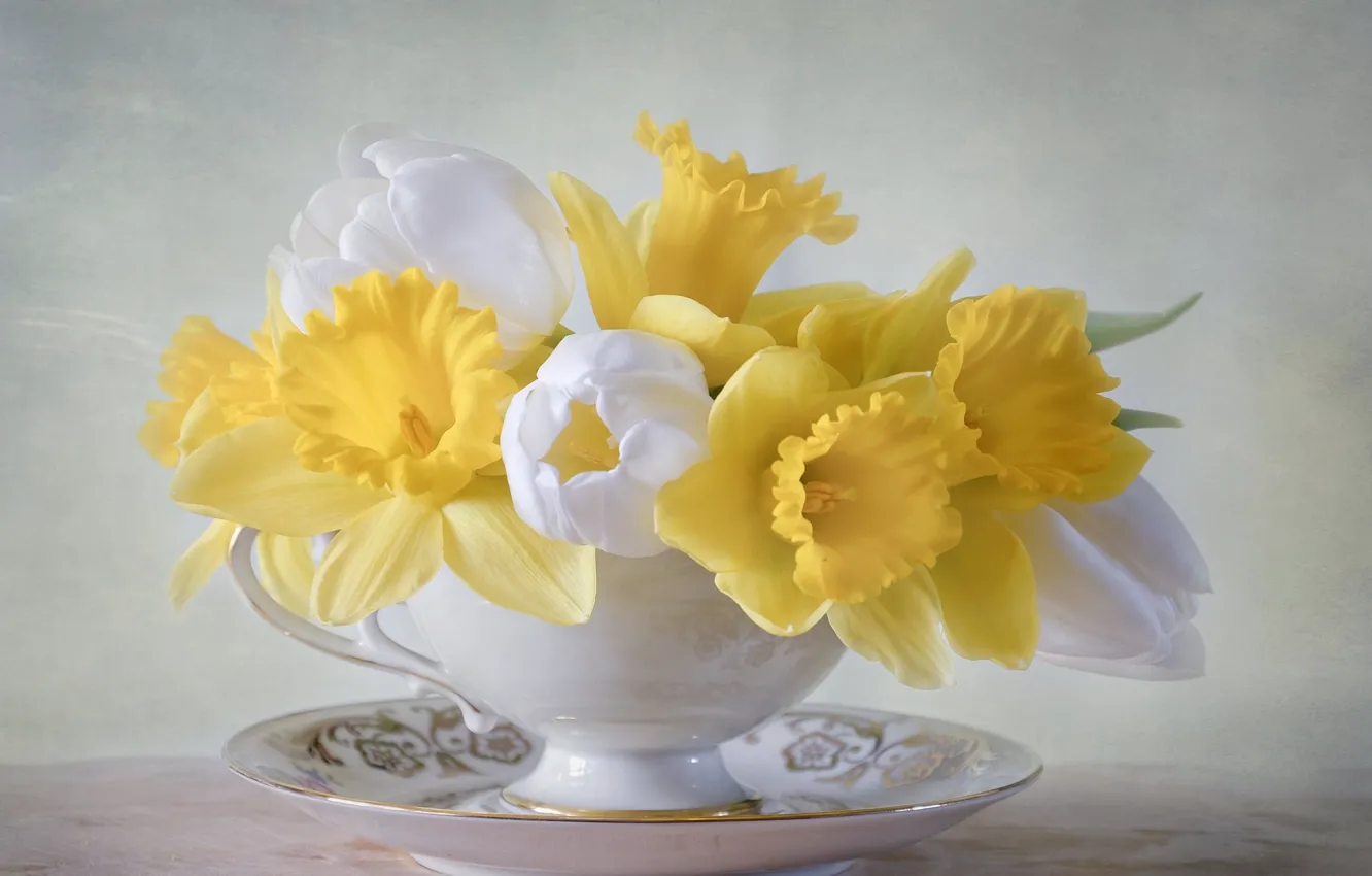 Photo wallpaper flowers, bouquet, plate, Cup, tulips, daffodils