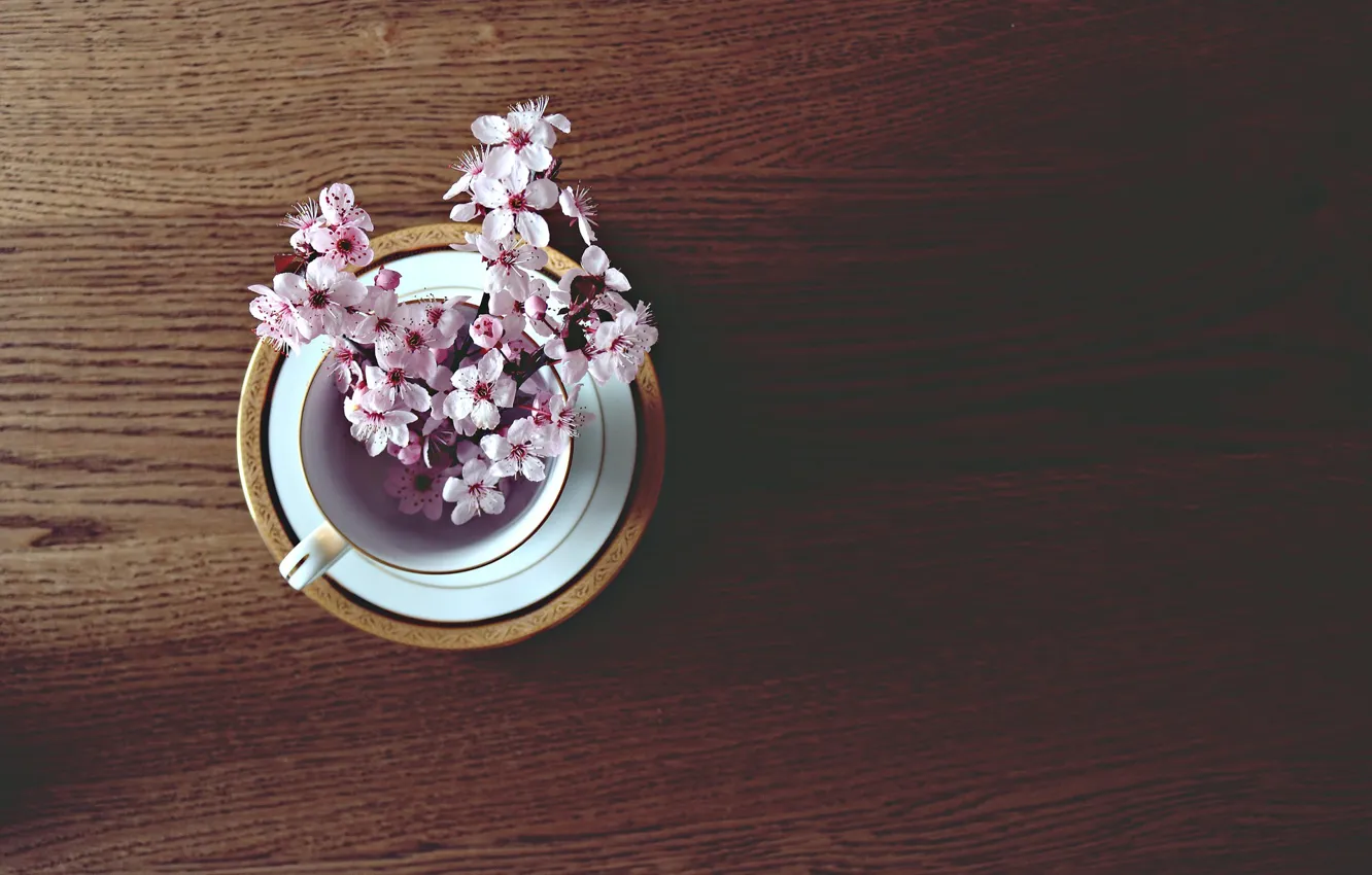 Photo wallpaper cherry, table, mood, spring, mug, mood, spring, twigs