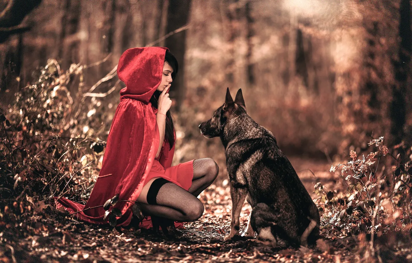 Photo wallpaper forest, girl, dog, cloak, Arya, Laurent KC