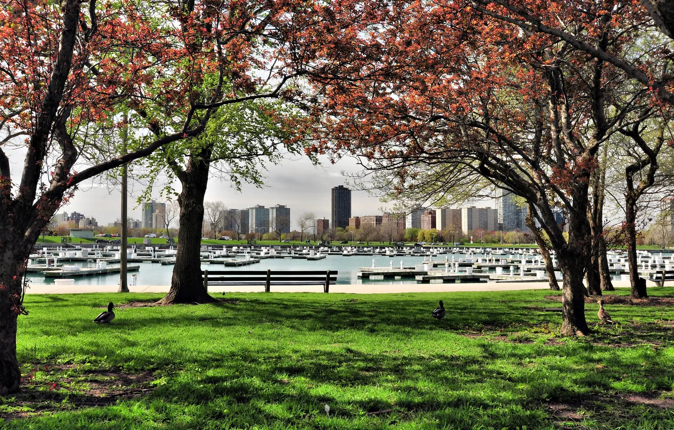 Photo wallpaper Chicago, Il, Chicago, llinois