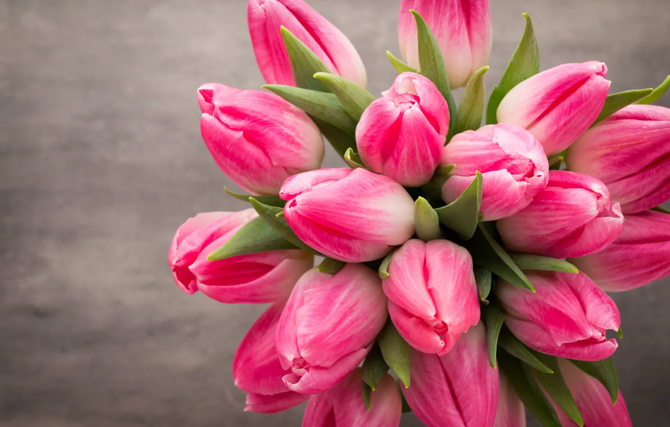 Photo wallpaper flowers, bouquet, tulips, pink, white, fresh, flowers, beautiful