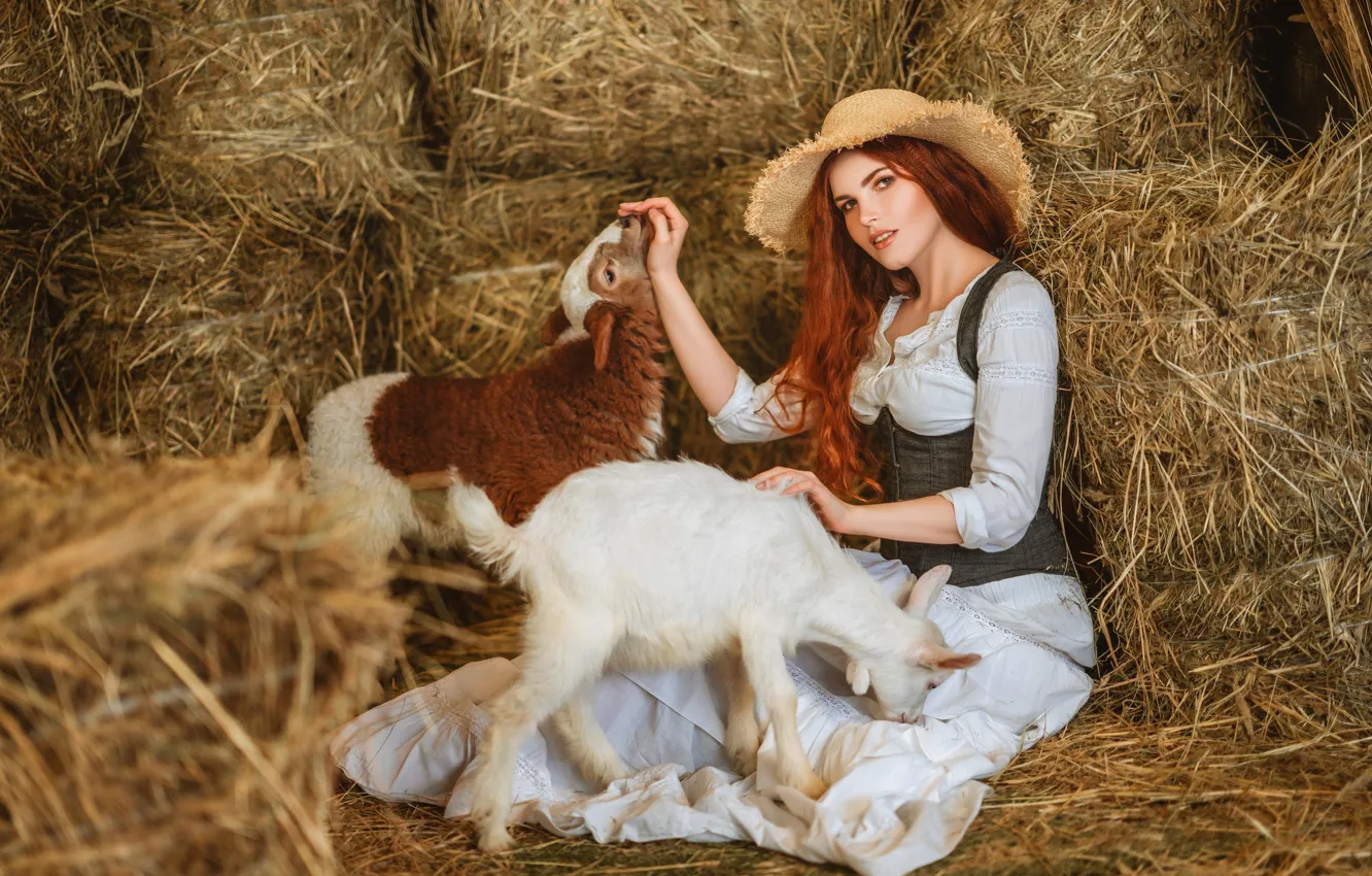 Photo wallpaper look, girl, hat, hay, red, lamb, redhead, sheep