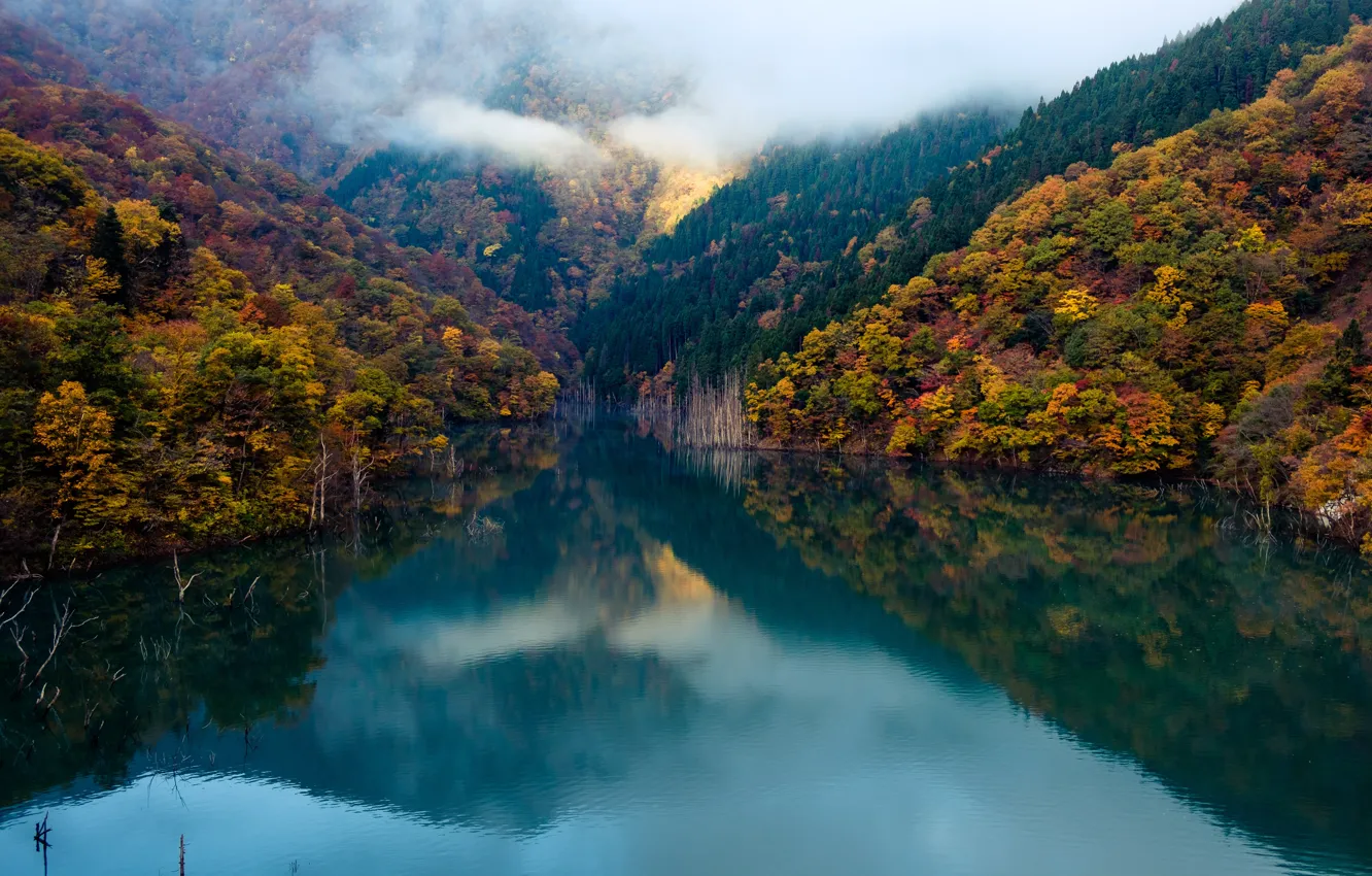 Photo wallpaper forest, autumn, clouds, lake, mirror