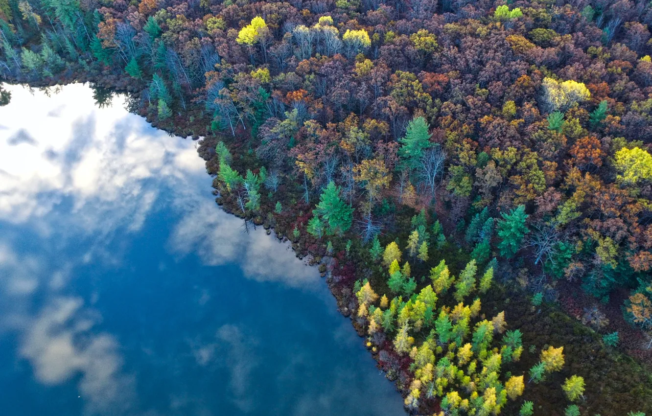 Photo wallpaper forest, lake, the