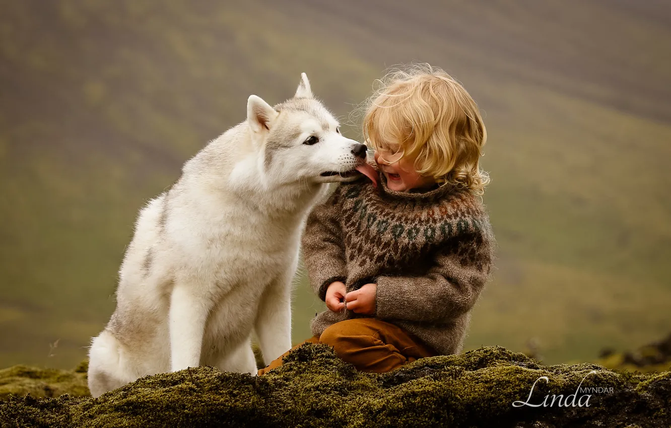 Photo wallpaper dog, Boy, friendship, friends, Iceland, husky