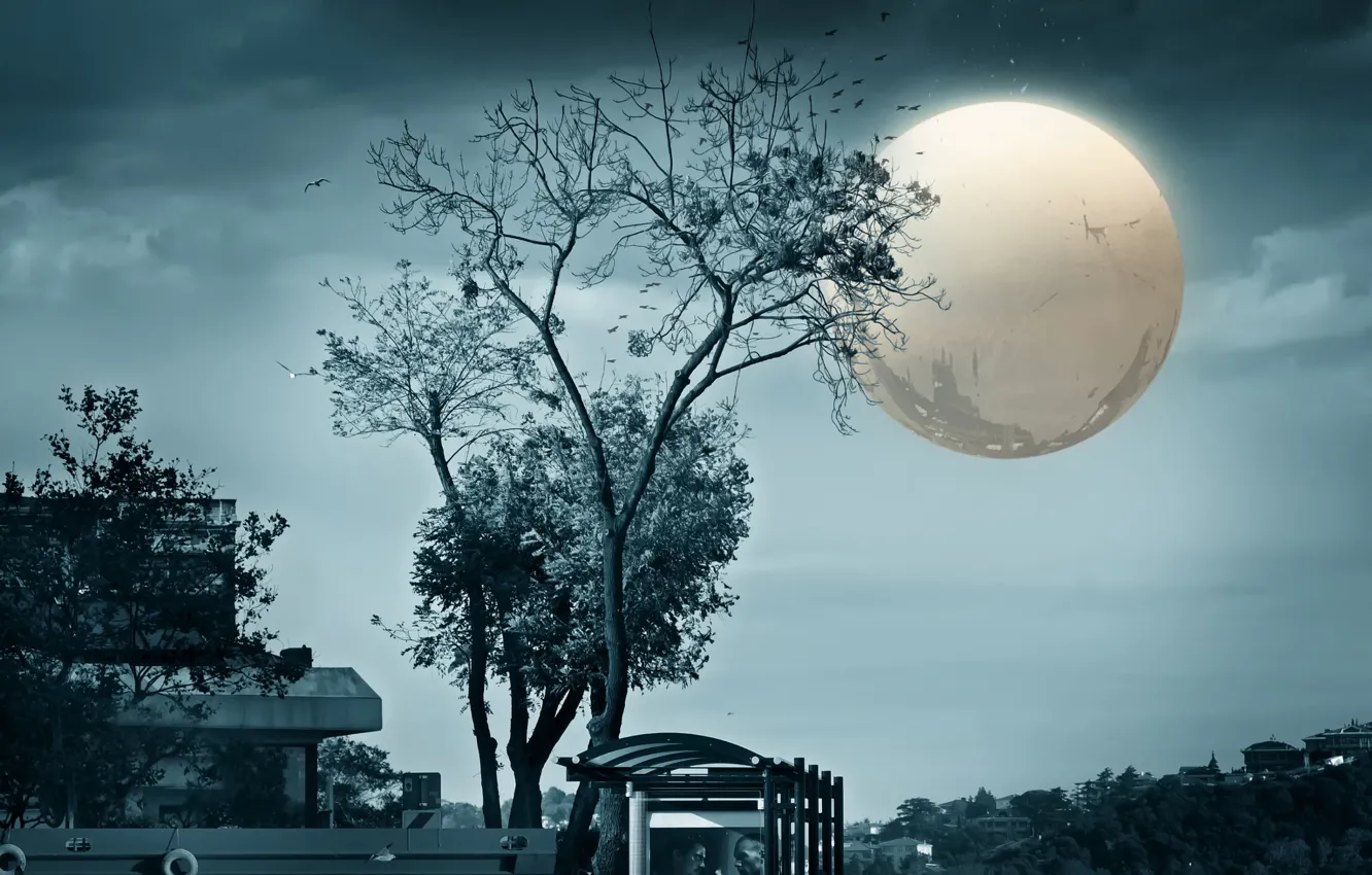 Photo wallpaper the city, bird, art, full moon