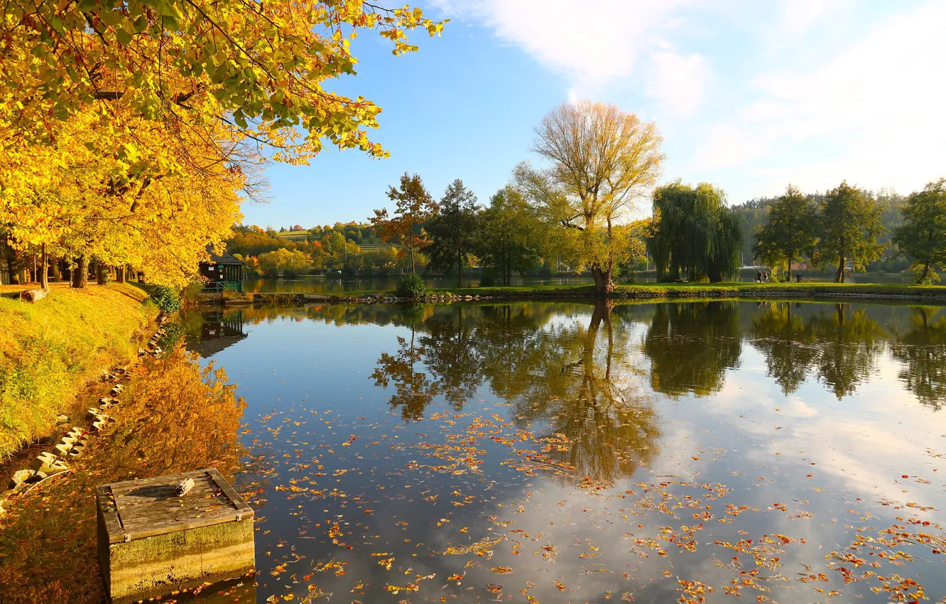 Photo wallpaper autumn, the sky, leaves, water, the sun, trees, pond, reflection