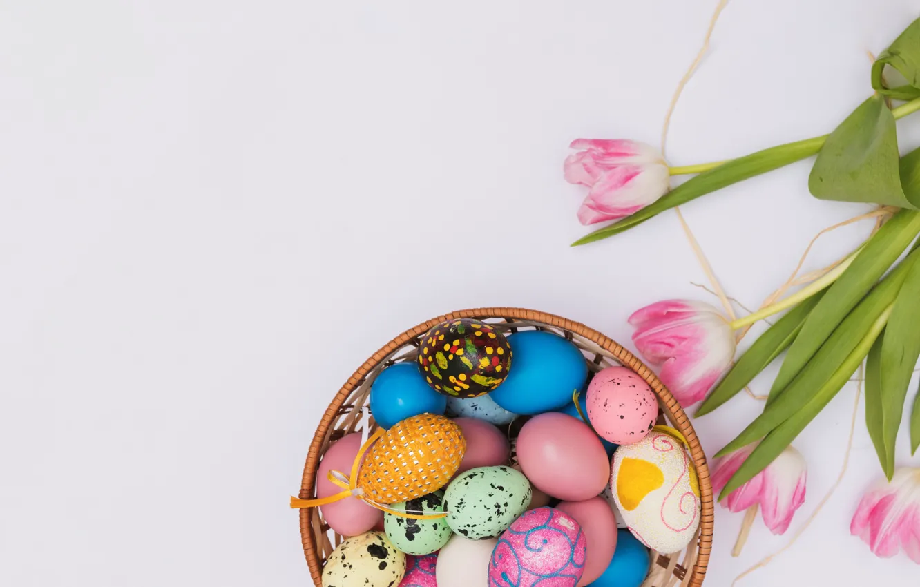 Photo wallpaper flowers, spring, Easter, tulips, pink, pink, flowers, tulips