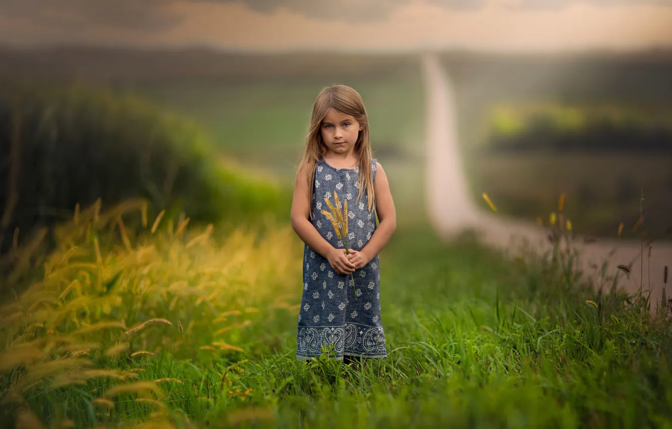 Photo wallpaper field, grass, girl
