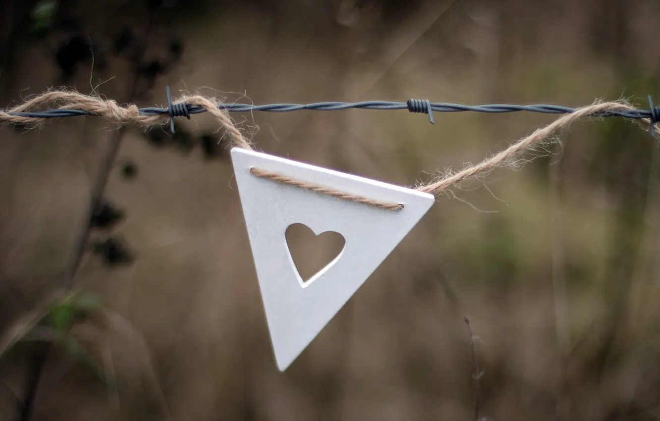 Photo wallpaper macro, toy, the fence