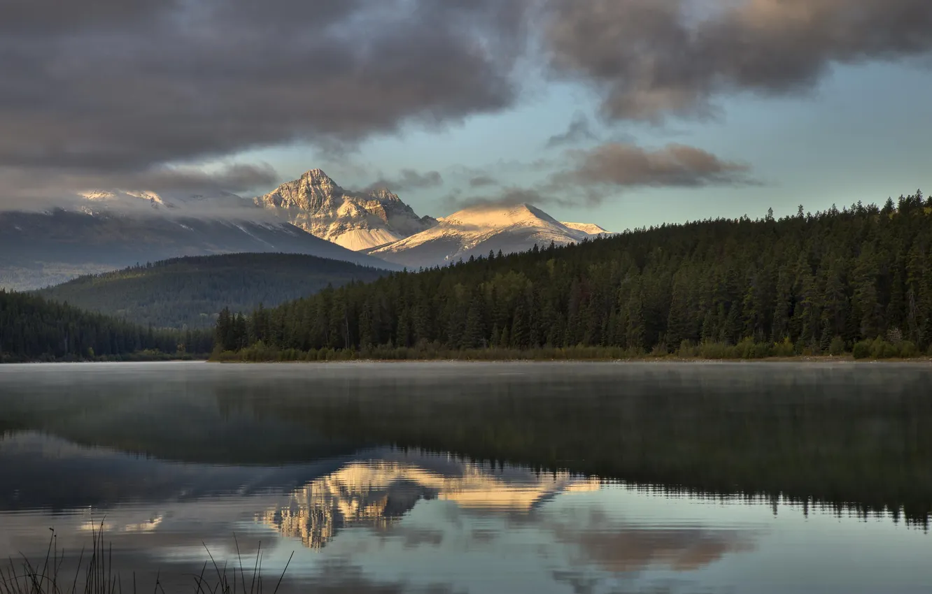 Photo wallpaper forest, trees, mountains, nature, lake, reflection, river
