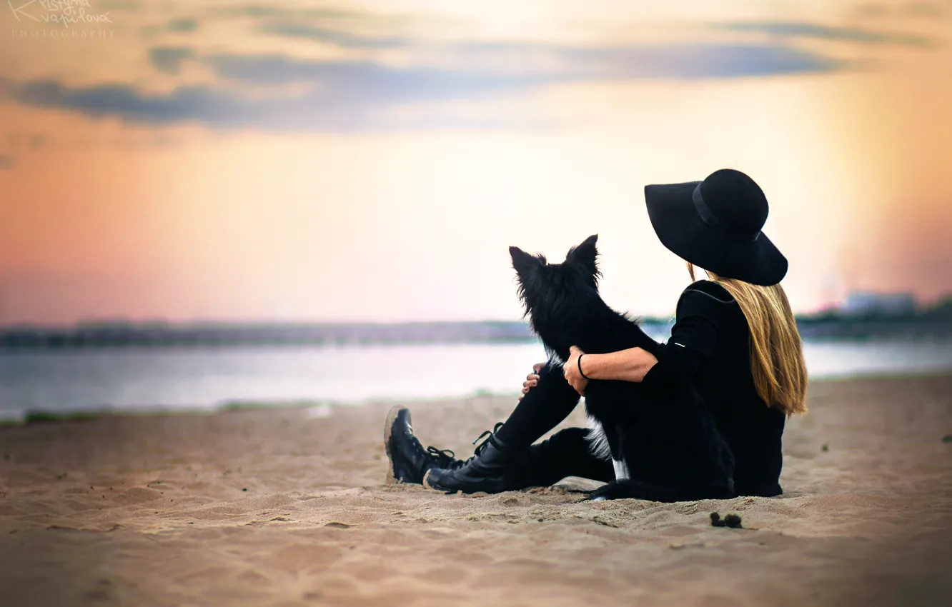 Photo wallpaper girl, shore, dog, I found myself in wonderland