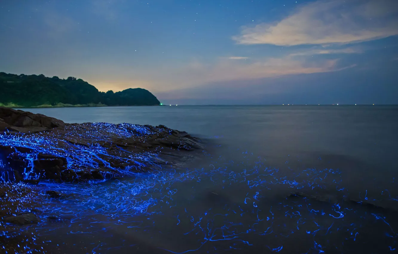 Photo wallpaper Japan, Firefly, Okayama