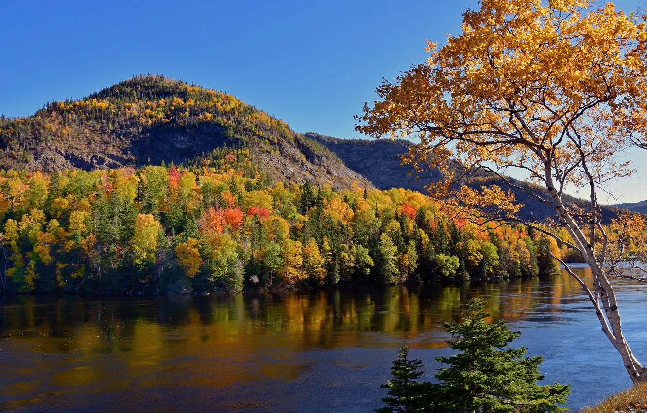 Photo wallpaper autumn, forest, trees, mountains, river, Canada, Canada, Newfoundland