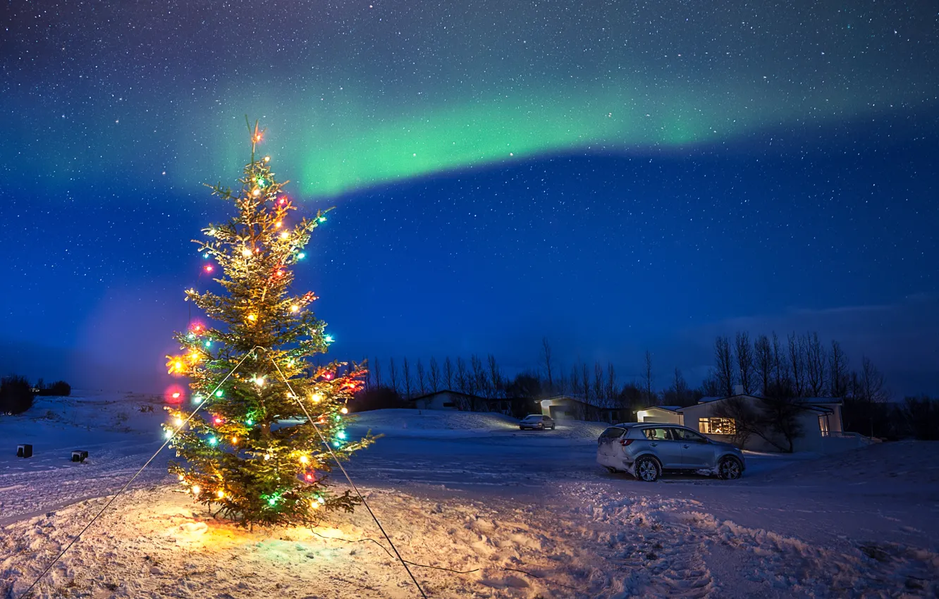 Photo wallpaper holiday, tree, new year