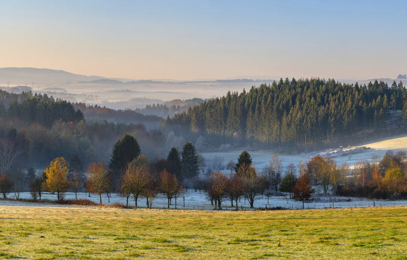 Photo wallpaper field, autumn, forest, the sky, grass, light, snow, trees