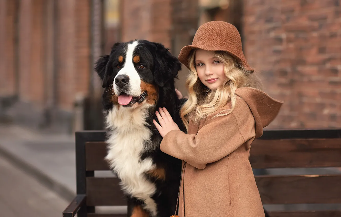 Photo wallpaper children, animal, dog, girl, hat, coat, dog, Bernese mountain dog