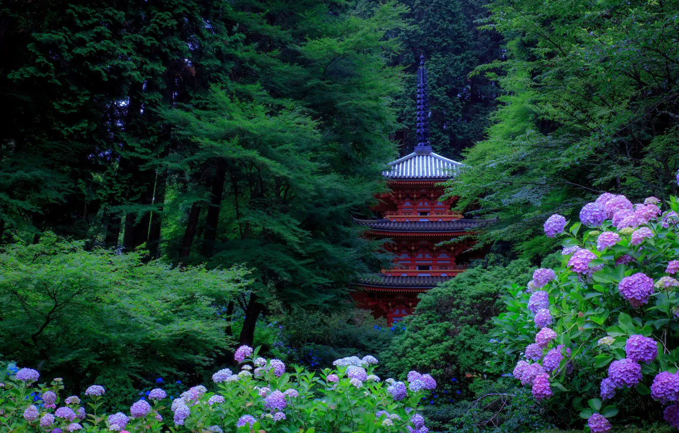 Photo wallpaper greens, trees, flowers, Park, Japan, pagoda, Kyoto, the bushes